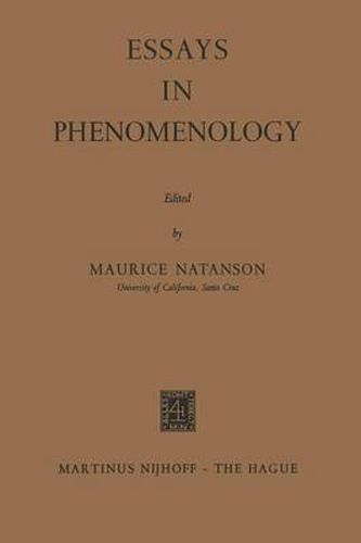 Essays in Phenomenology