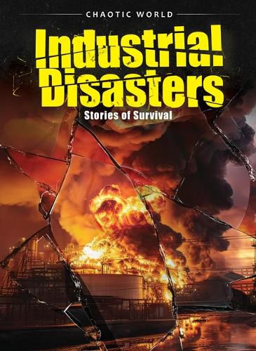 Cover image for Industrial Disasters