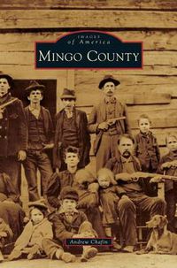 Cover image for Mingo County