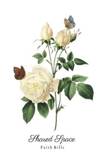 Cover image for Shared Space