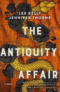 Cover image for The Antiquity Affair