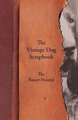 Cover image for The Vintage Dog Scrapbook - The Basset Hound