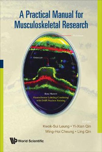 Cover image for Practical Manual For Musculoskeletal Research, A