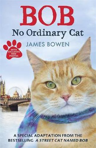 Cover image for Bob: No Ordinary Cat