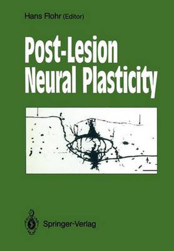 Cover image for Post-Lesion Neural Plasticity