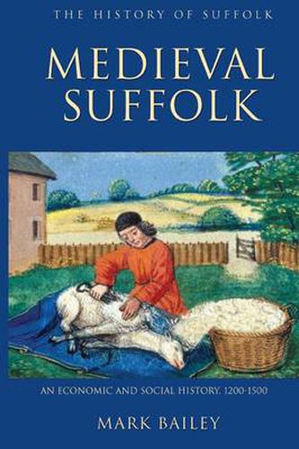 Cover image for Medieval Suffolk: An Economic and Social History, 1200-1500