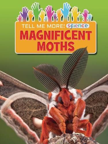Cover image for Magnificent Moths