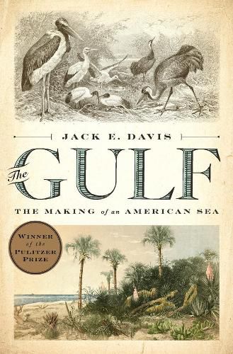 The Gulf: The Making of An American Sea