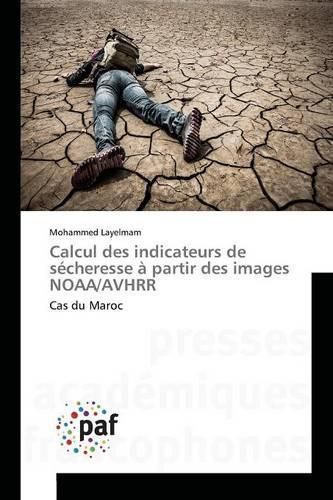 Cover image for Calcul Des Indicateurs de Secheresse A Partir Des Images Noaa/Avhrr