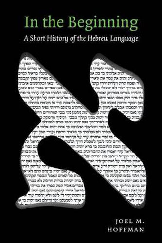 Cover image for In the Beginning: A Short History of the Hebrew Language