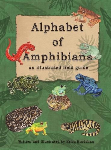 Cover image for The Alphabet of Amphibians: an illustated field guide