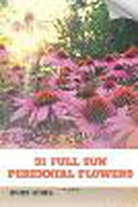 Cover image for 31 Full Sun Perennial Flowers