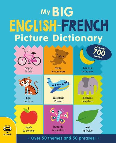 Cover image for My Big English-French Picture Dictionary