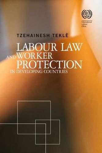 Cover image for Labour Law and Worker Protection in Developing Countries