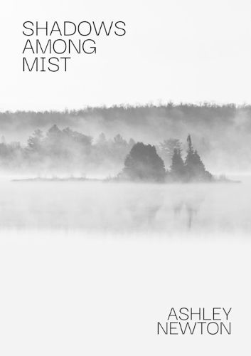 Cover image for Shadows Among Mist