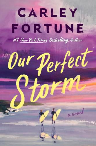 Cover image for Our Perfect Storm