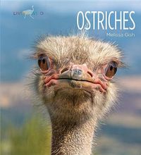 Cover image for Ostriches