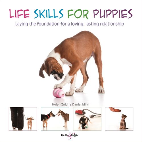 Life skills for puppies: Laying the foundation for a loving, lasting relationship