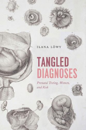 Cover image for Tangled Diagnoses: Prenatal Testing, Women, and Risk