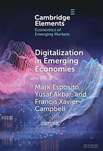 Cover image for Digitalization in Emerging Economies