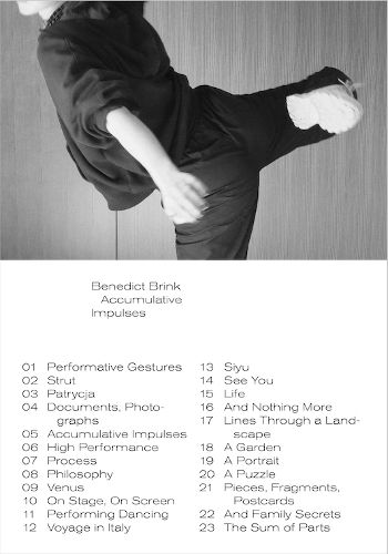 Cover image for N degrees 3 : Accumulative Impulses