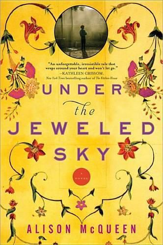 Cover image for Under the Jeweled Sky