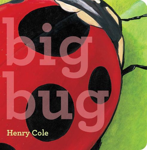 Cover image for Big Bug