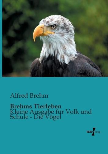 Cover image for Brehms Tierleben: Kleine Ausgabe fur Volk und Schule - Die Voegel