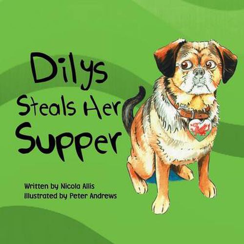 Cover image for Dilys Steals Her Supper