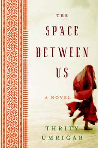 Cover image for The Space Between Us