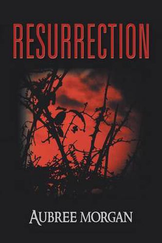 Cover image for Resurrection