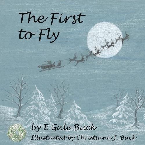 Cover image for The First to Fly