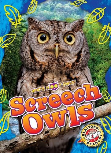 Cover image for Screech Owls