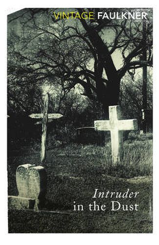Cover image for Intruder in the Dust