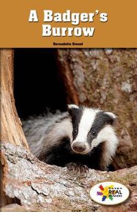 Cover image for A Badger's Burrow