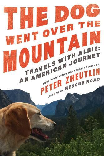 Cover image for The Dog Went Over the Mountain: Travels With Albie: An American Journey