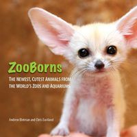 Cover image for ZooBorns