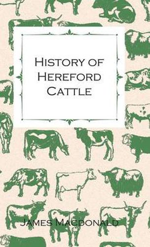 History Of Hereford Cattle