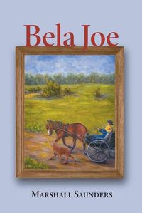 Cover image for Bela Joe