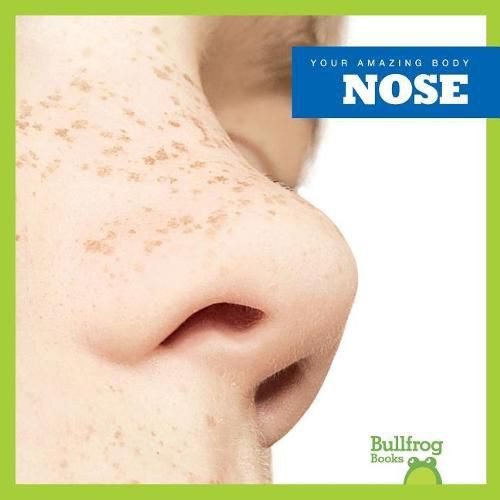 Cover image for Nose