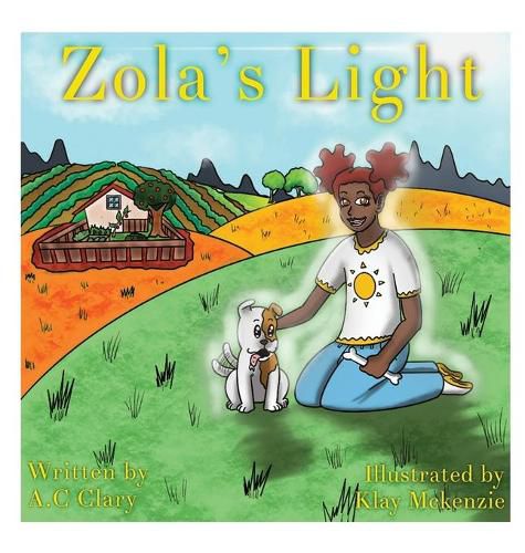 Cover image for Zola's Light