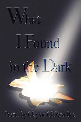 Cover image for What I Found in the Dark