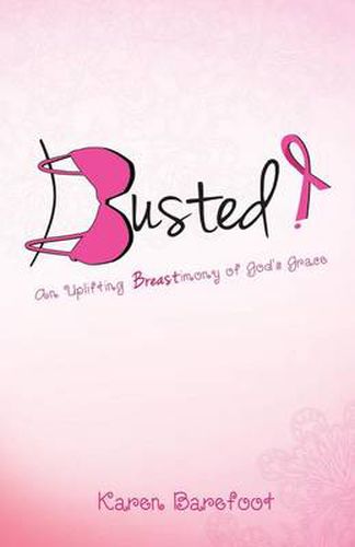 Cover image for Busted