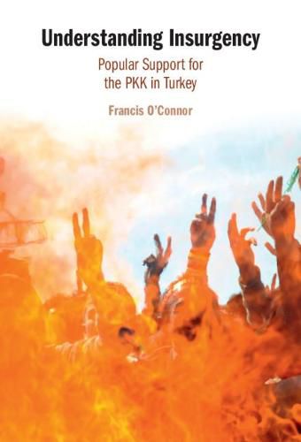 Cover image for Understanding Insurgency: Popular Support for the PKK in Turkey
