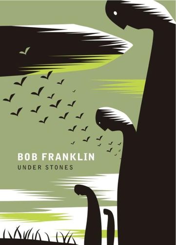 Cover image for Under Stones