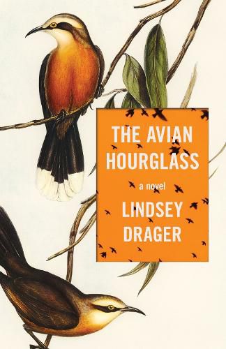 Cover image for The Avian Hourglass