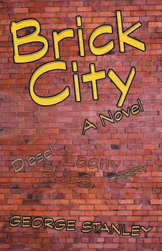 Cover image for Brick City