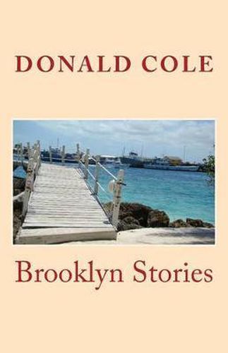 Cover image for Brooklyn Stories