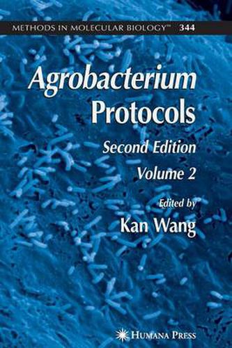 Cover image for Agrobacterium Protocols: Volume II