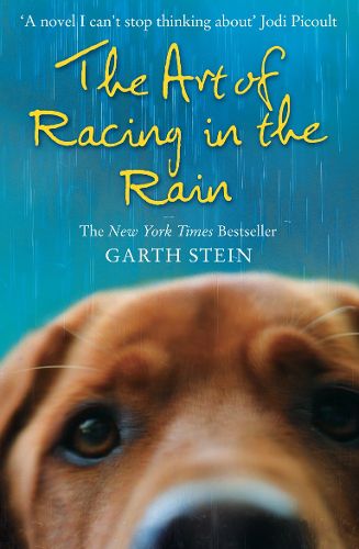 Cover image for The Art of Racing in the Rain